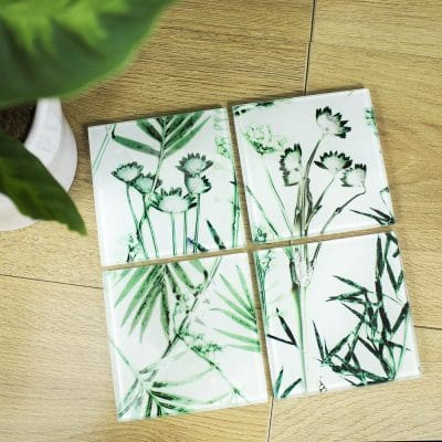 Hot House Fronds | Green & White Set of Glass Coasters
